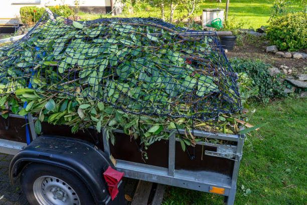 Best Dumpster Rental Services  in Dawson Springs, KY